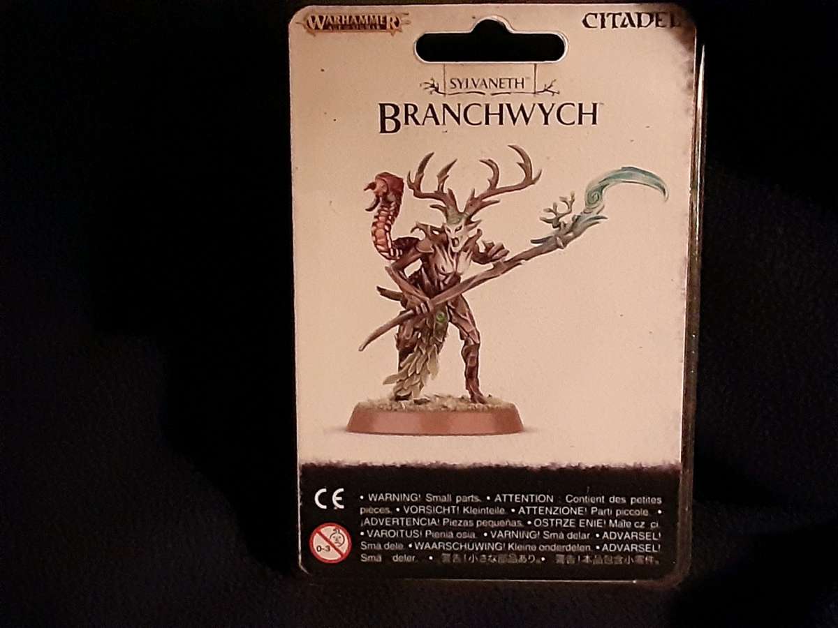 Branchwych