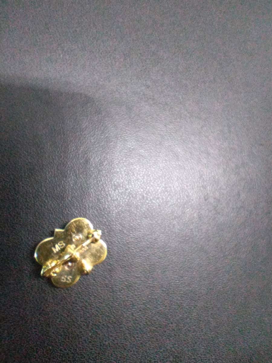 10kt gold Sorority pin