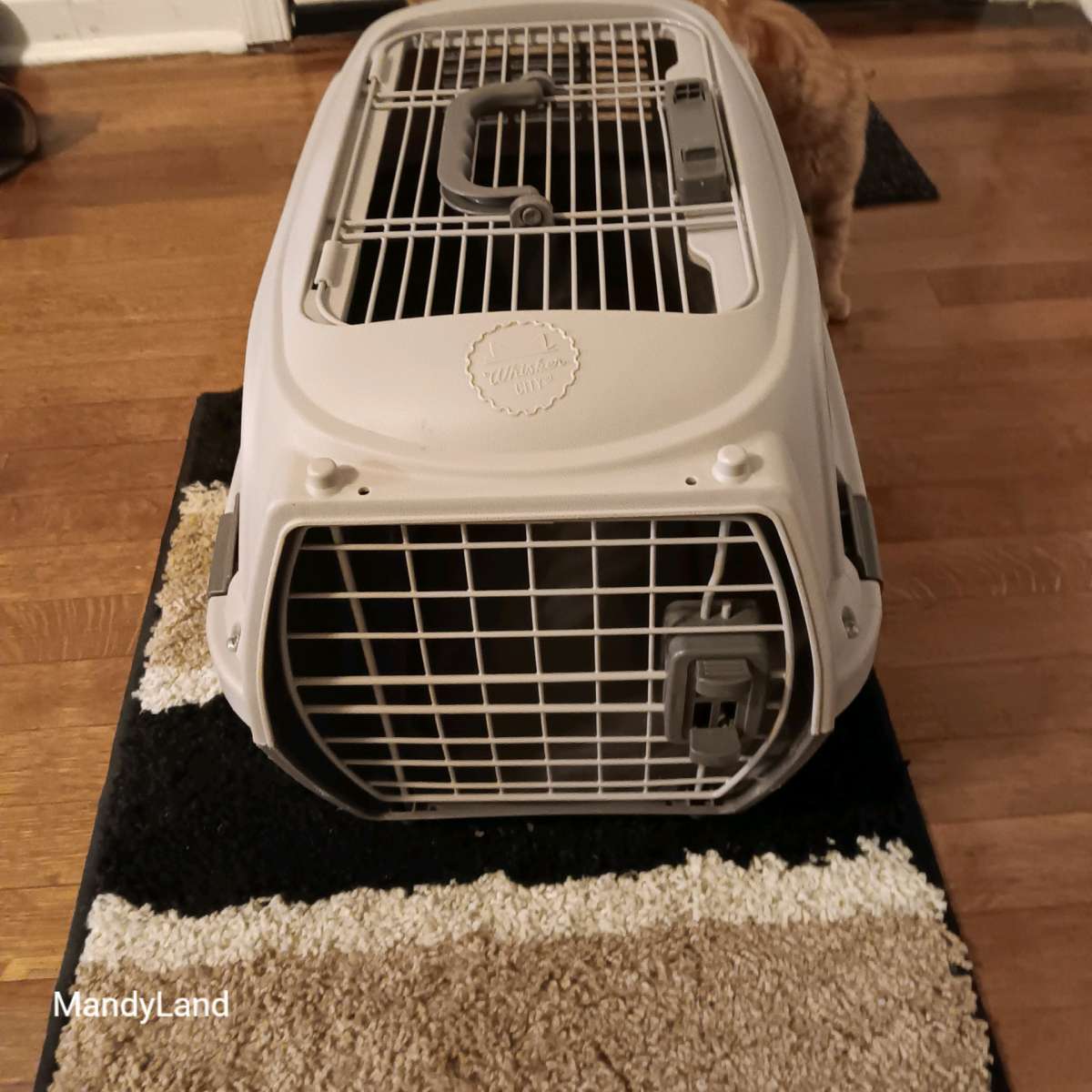 pet carrier