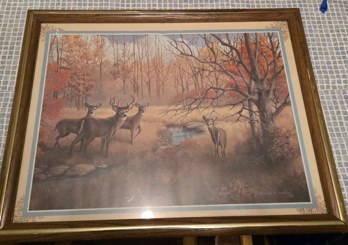 Deer print by Charles E Murphy