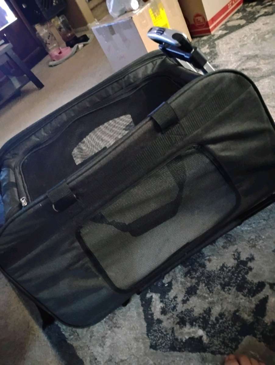dog carrier and a roller