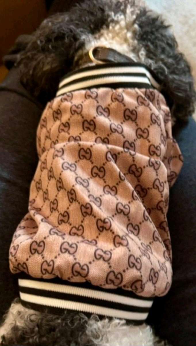 DOG JACKET  WITH GUCCI PRINT