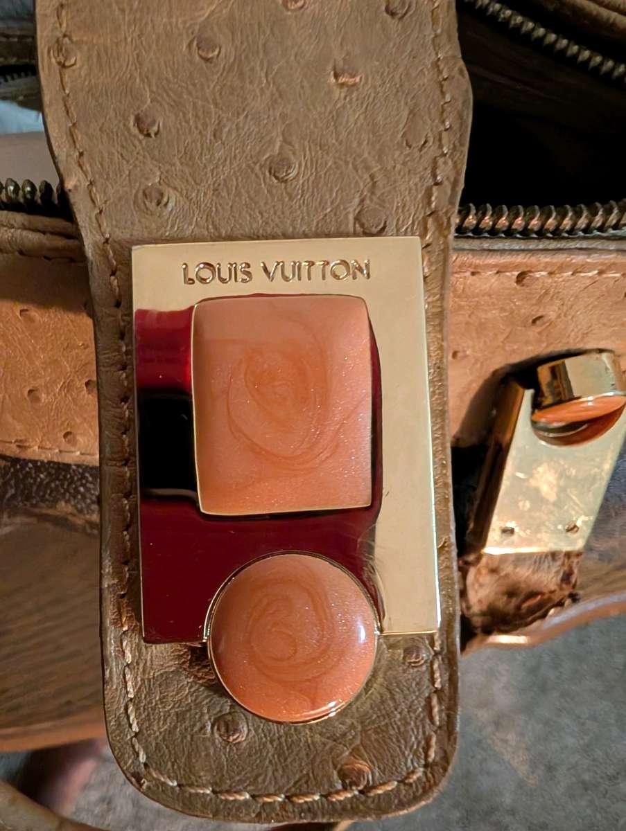 Elegant Tan and Brown Designer Handbag