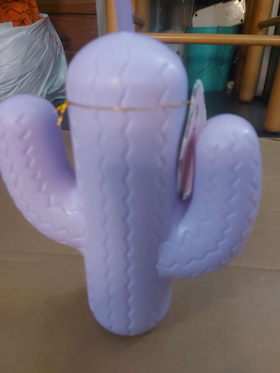 Pink Sky Lookin Sharp Cactus Cup 21 oz