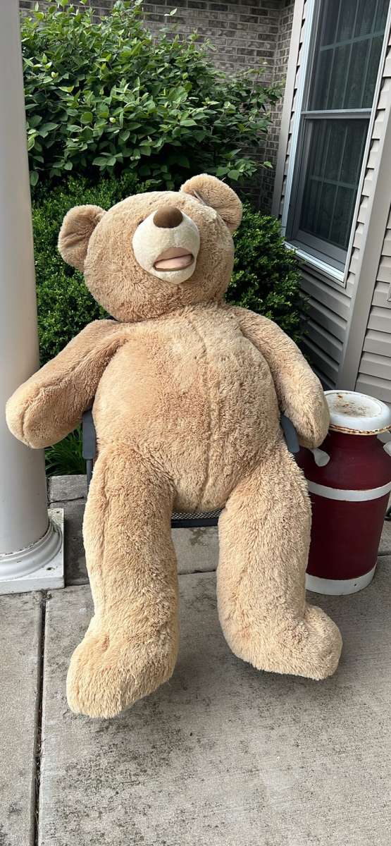 big bear 53 inch