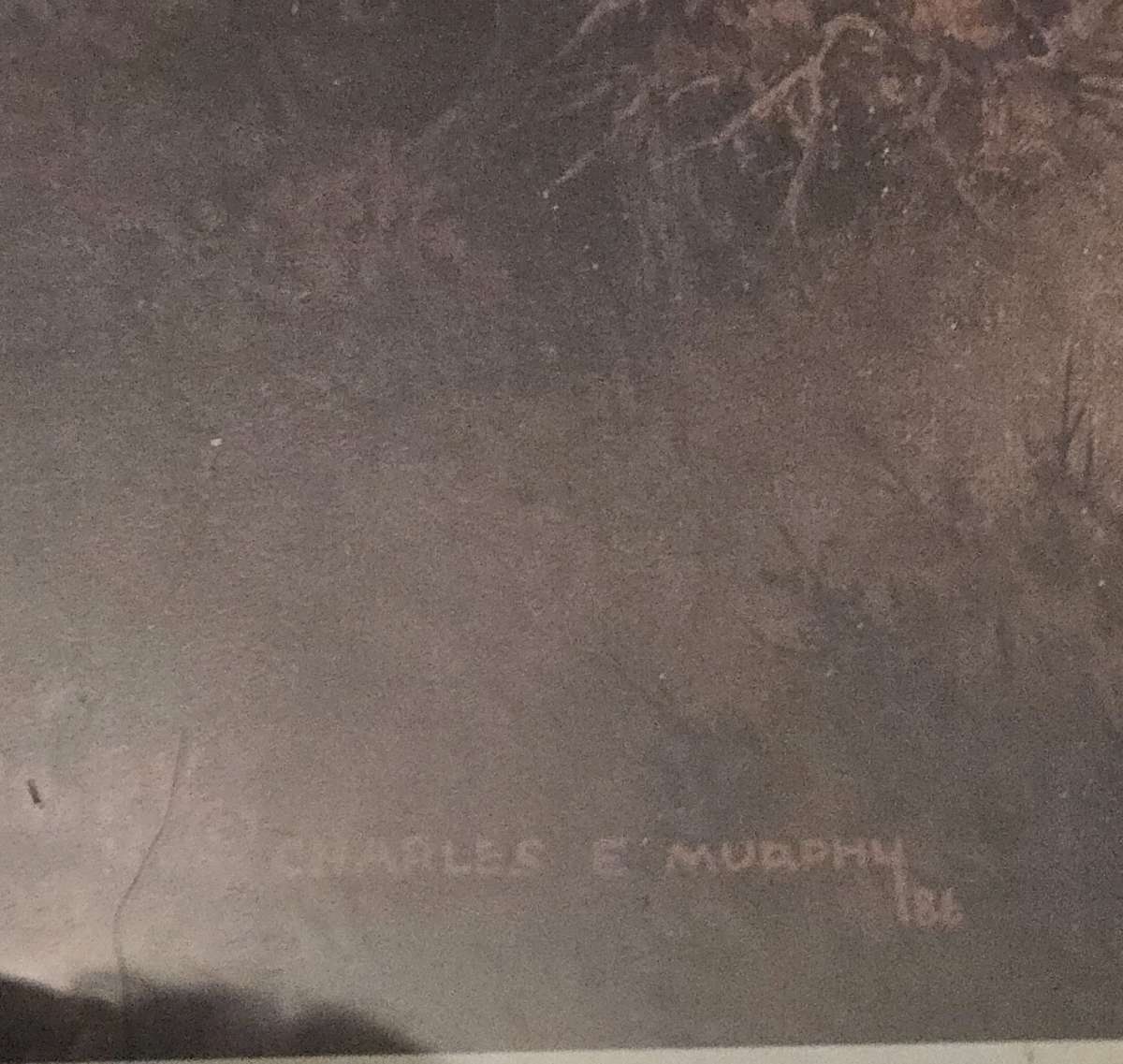 Deer print by Charles E Murphy