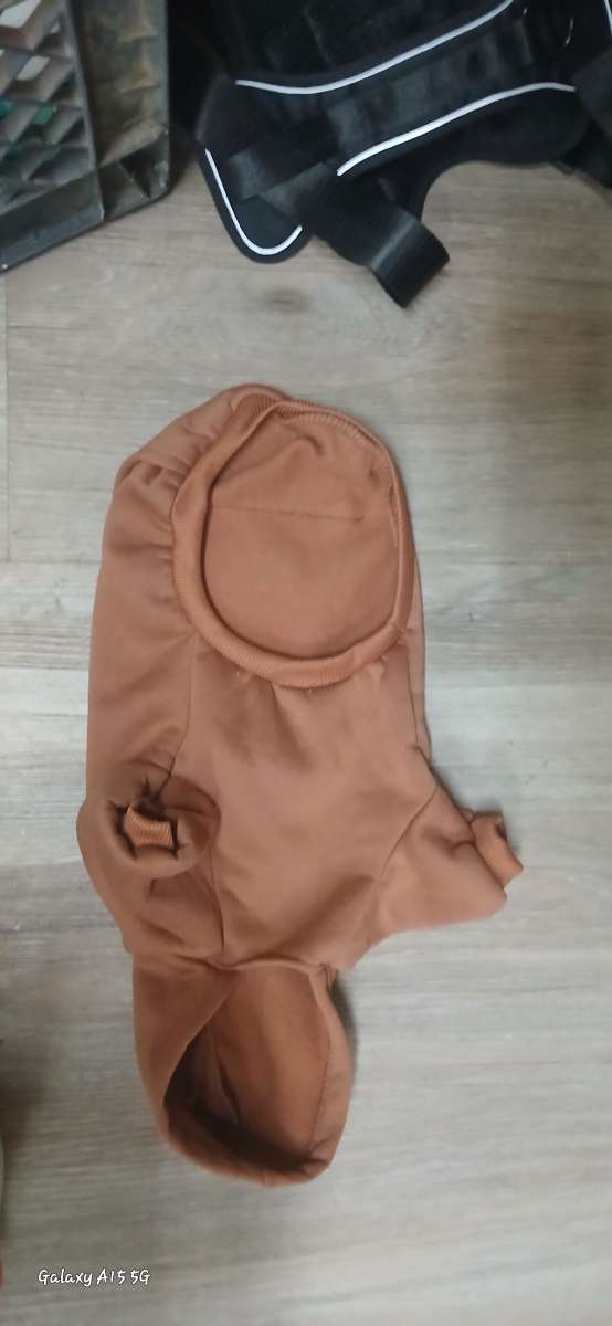 dog sweaters and rain coats size small to medium