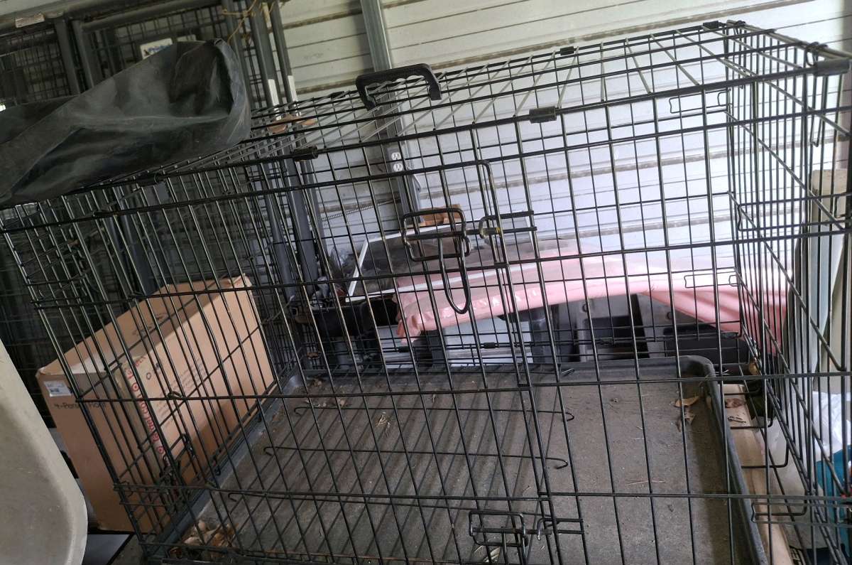 dog doors crates n more