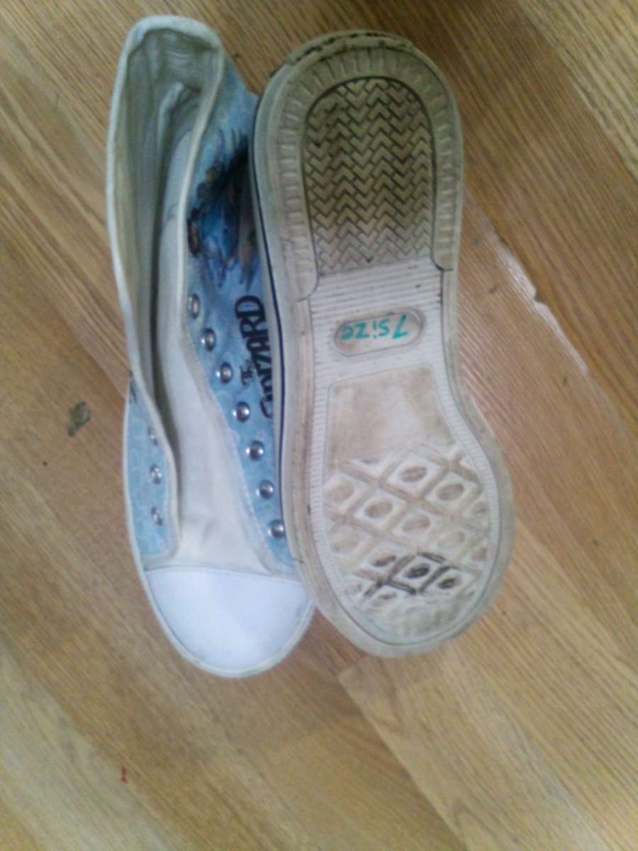 The wizard of Oz shoes