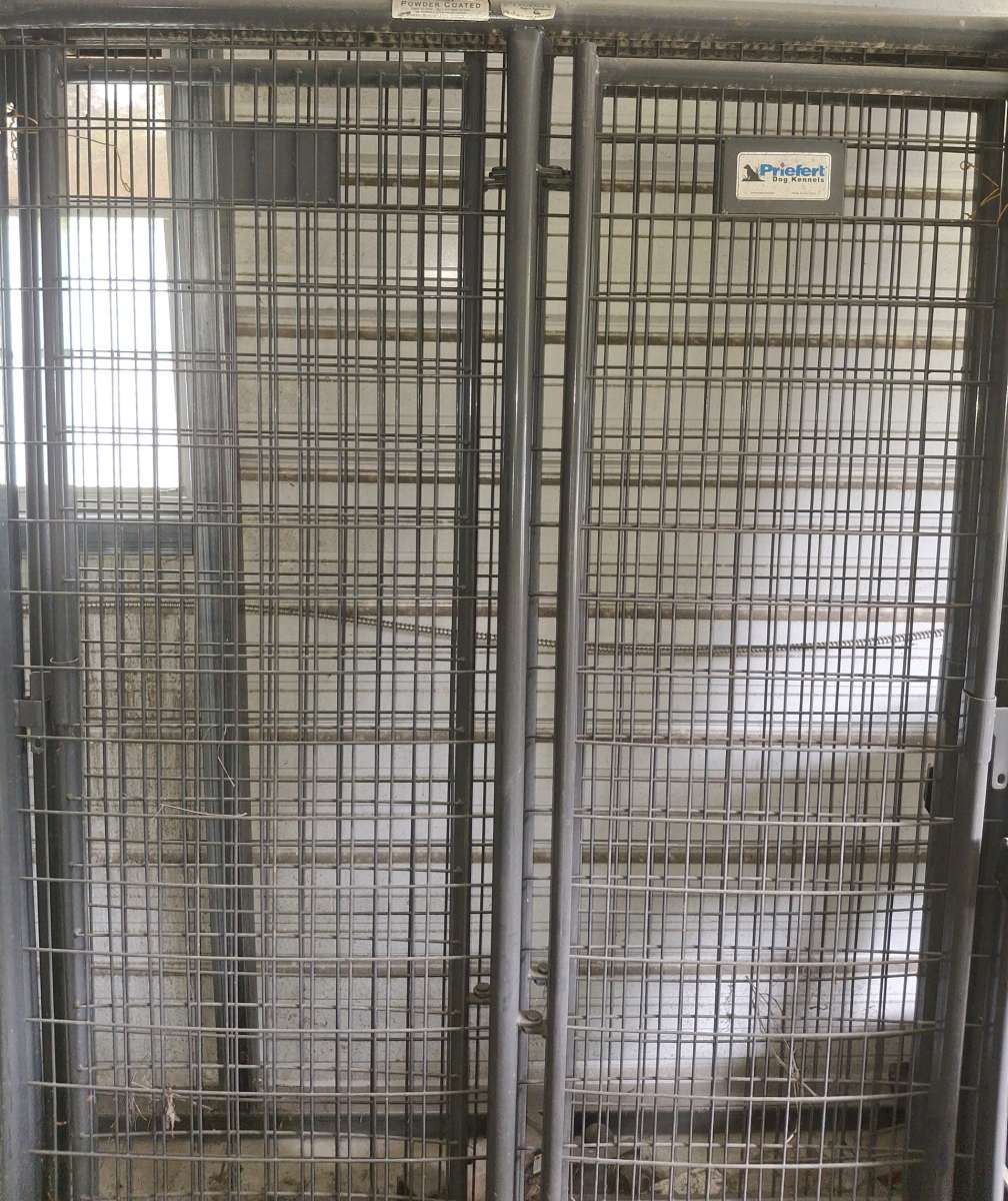 dog doors crates n more