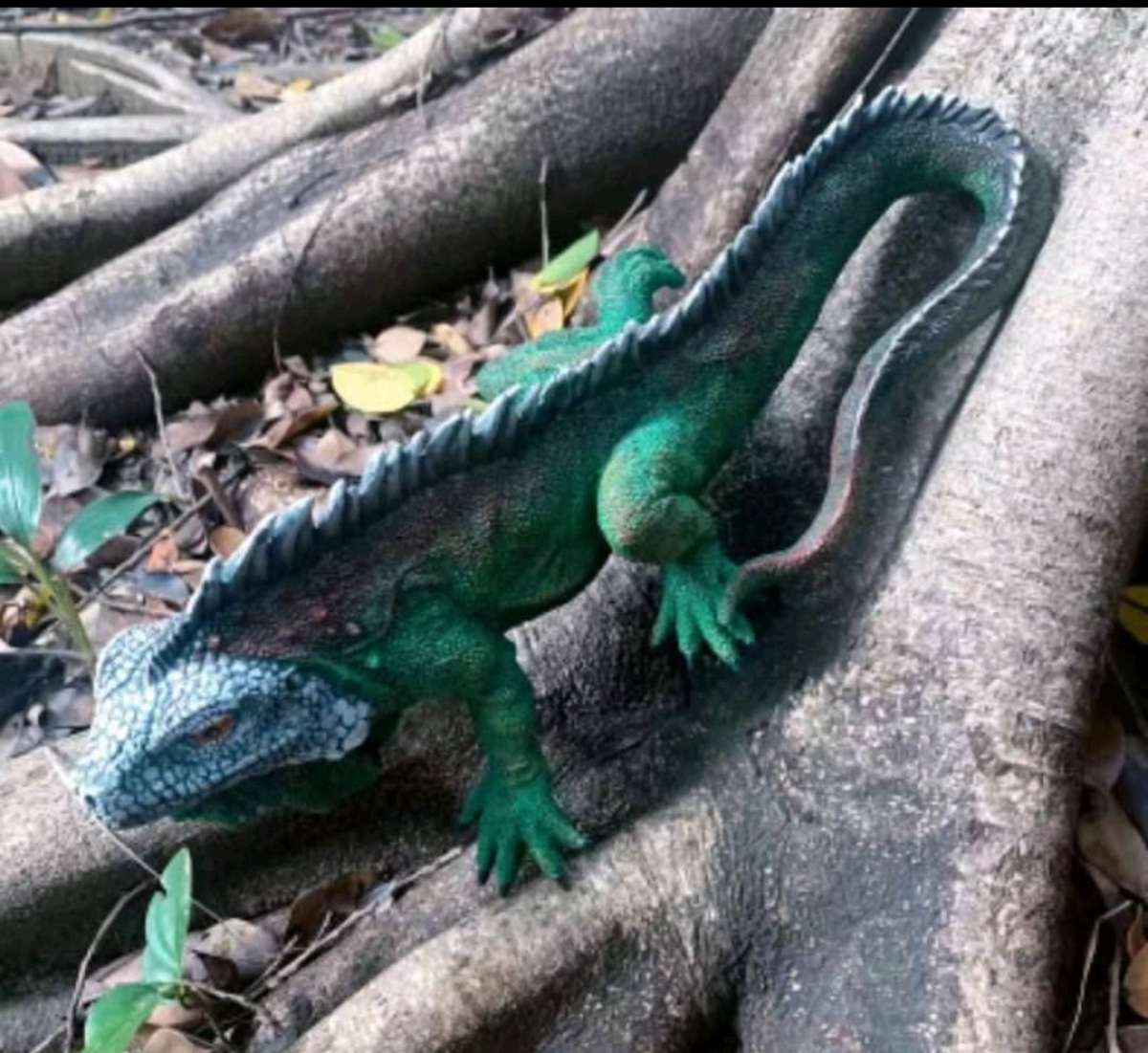 Lifesize Resin Iguana Figure