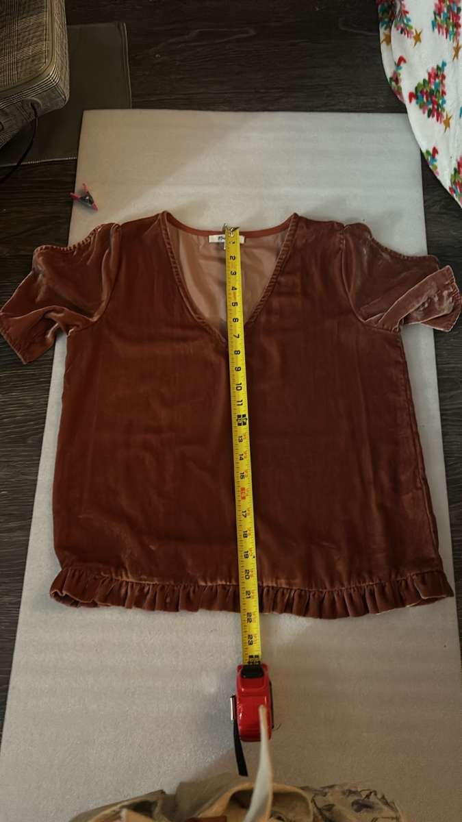 Madewell VelvetTulip Sleeve Ruffle Top Size S