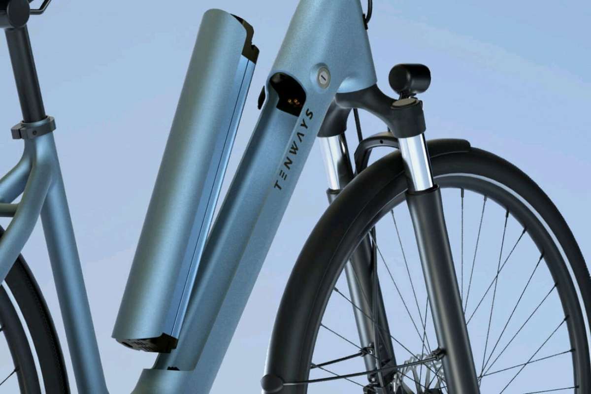 TENWAYS  CGO800S ELECTRIC BIKE