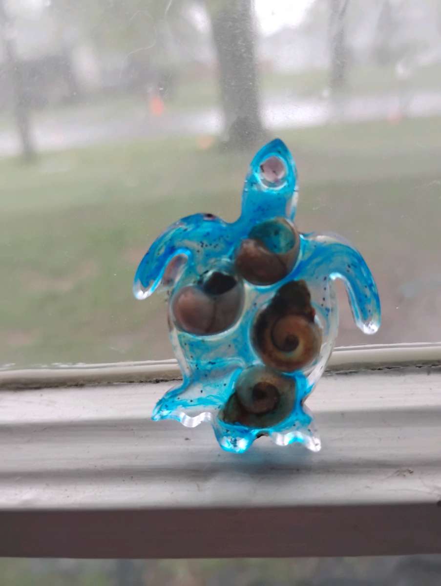 ocean inspired Resin Turtle earrings with seashells