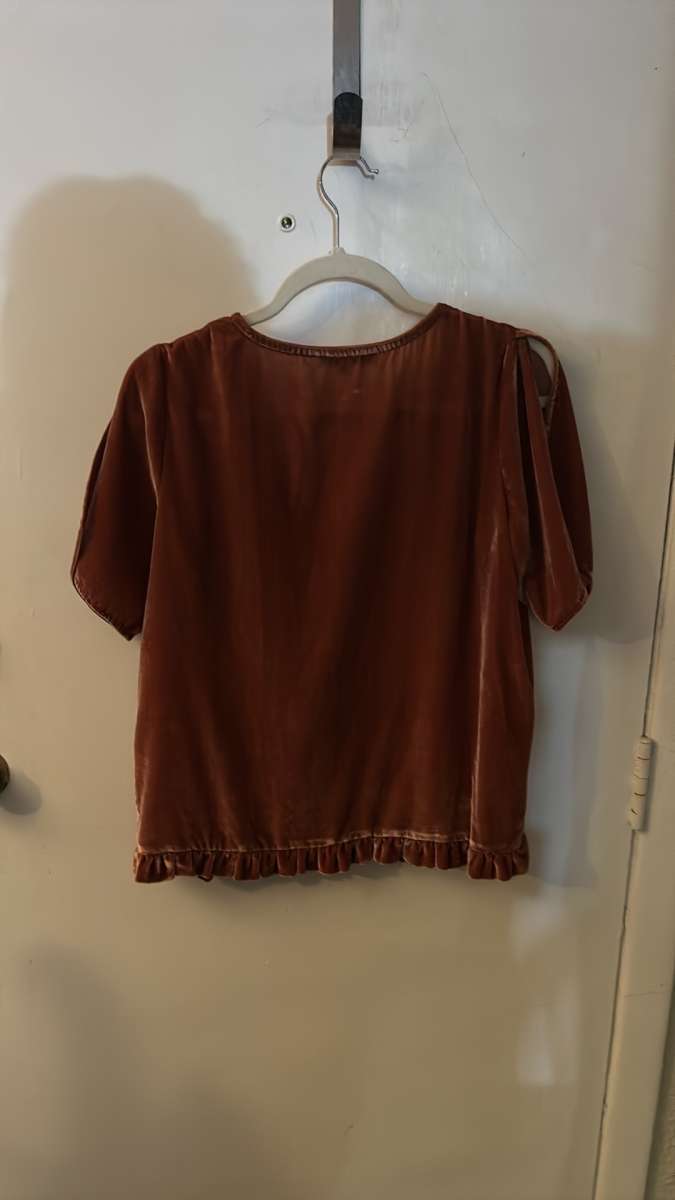 Madewell VelvetTulip Sleeve Ruffle Top Size S