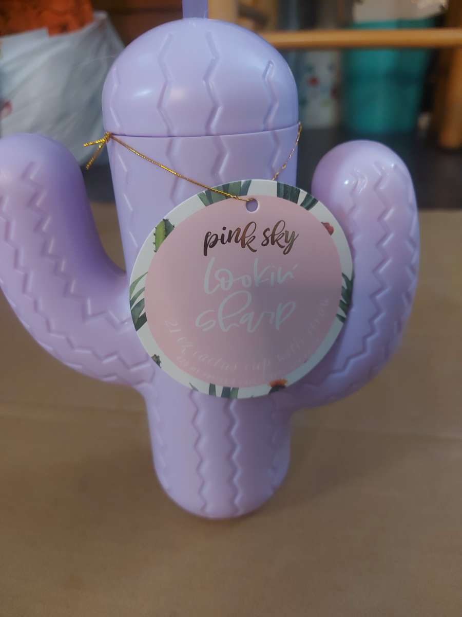 Pink Sky Lookin Sharp Cactus Cup 21 oz