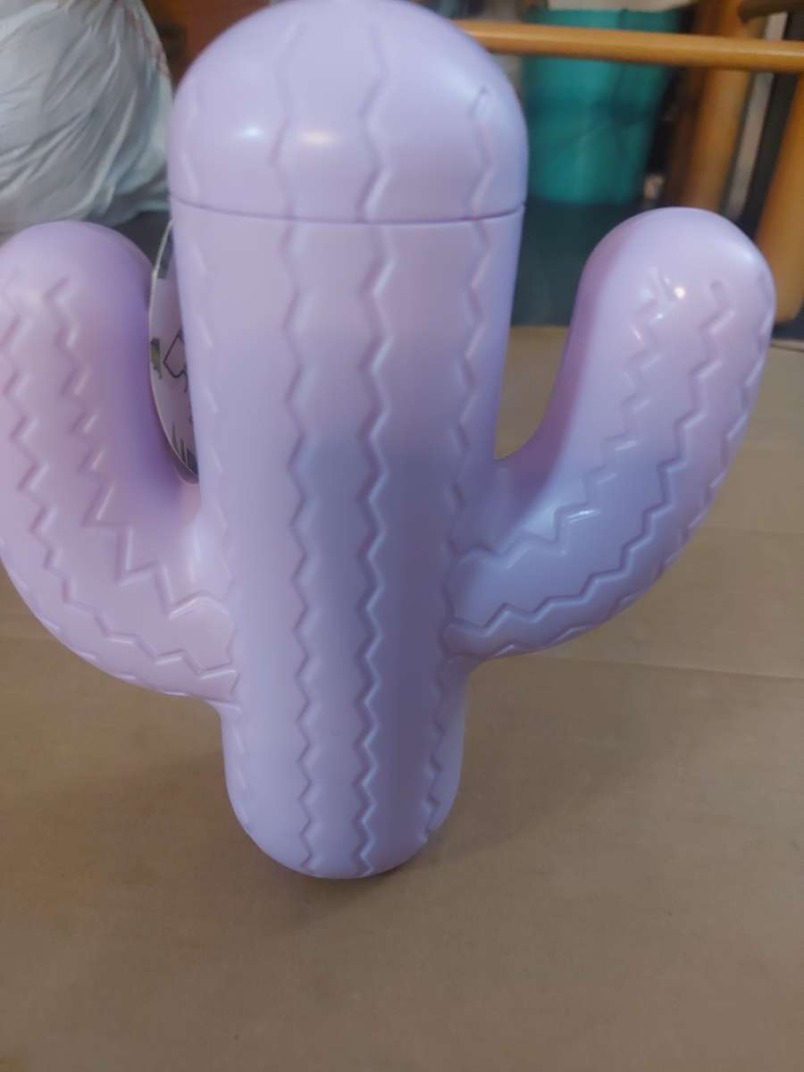 Pink Sky Lookin Sharp Cactus Cup 21 oz