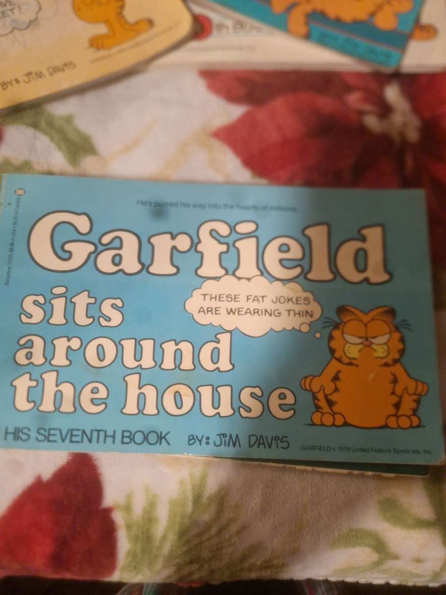 1978 to 1980 Garfield comics