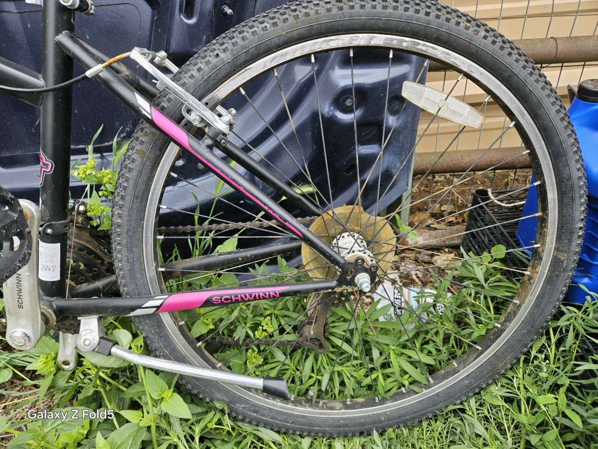 Ladies 26 schwinn bike