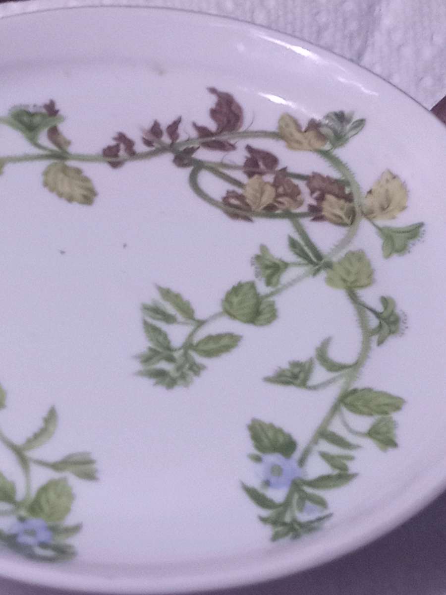 collectable plates