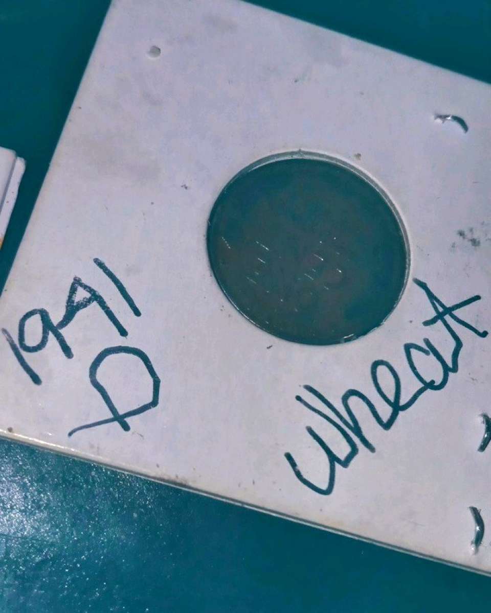 variety of high grade Lincoln wheat pennys and others