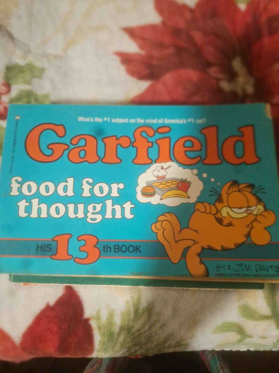 1978 to 1980 Garfield comics