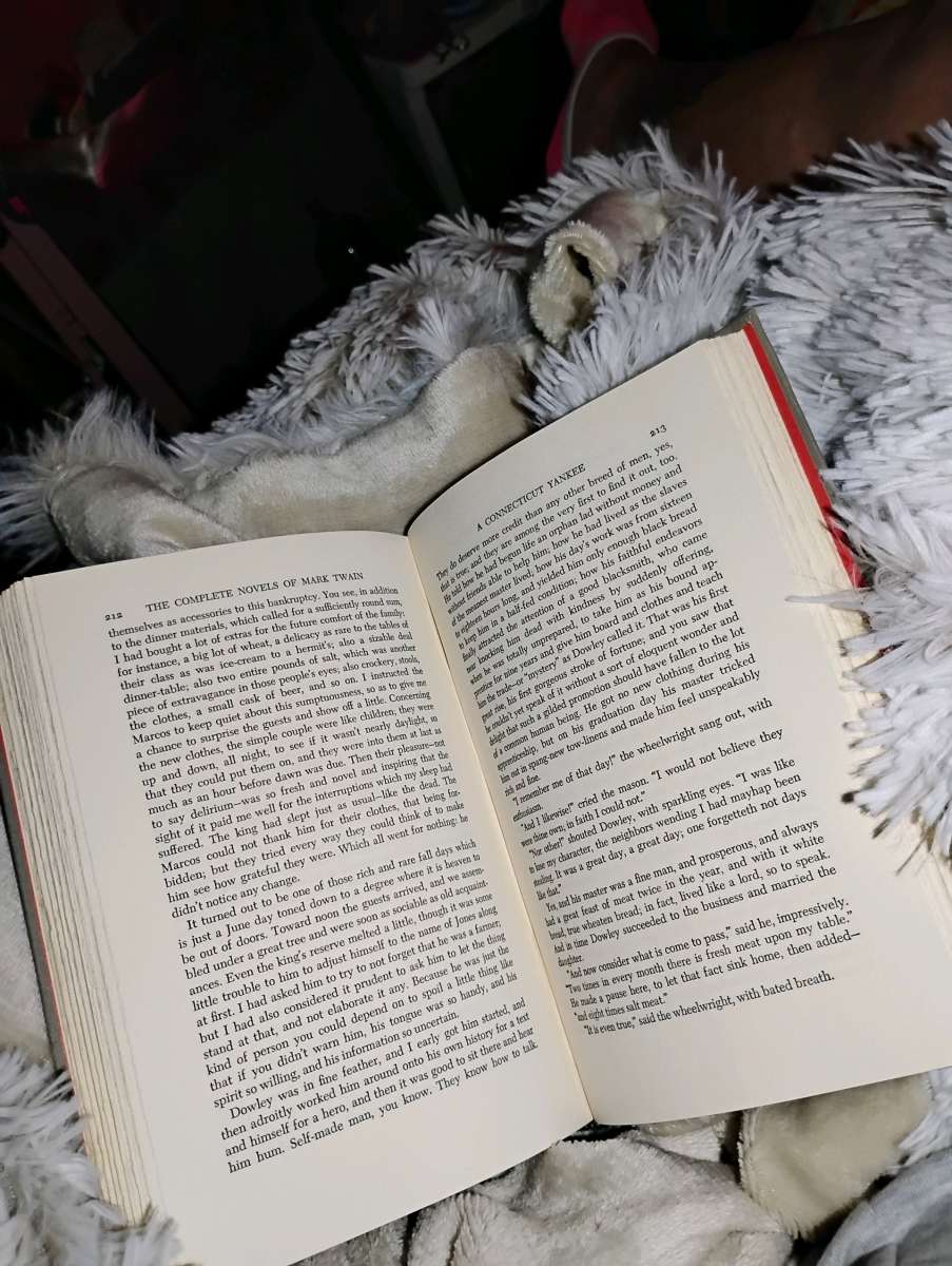 the complete collection of Mark Twain