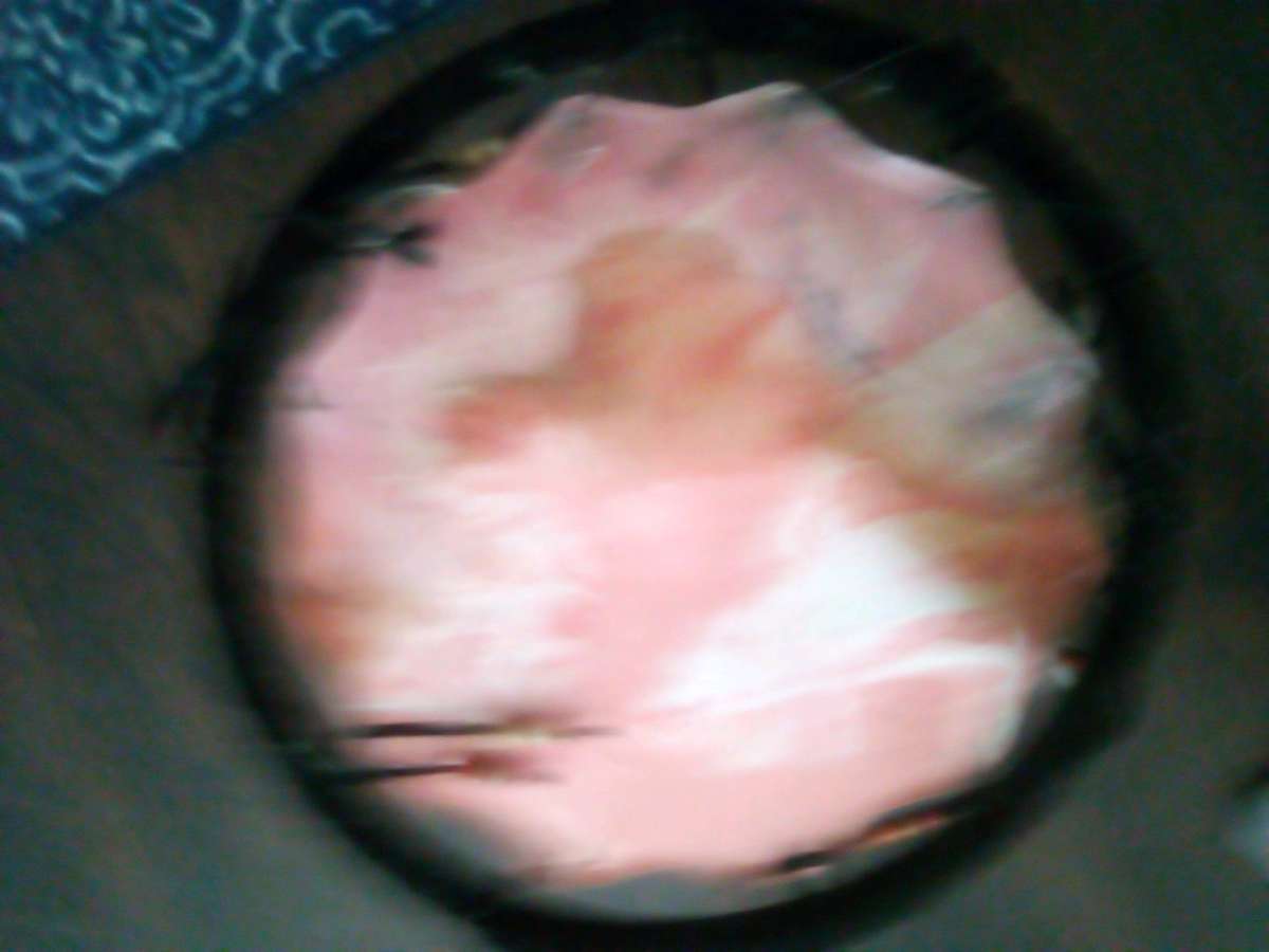 two boxes books canvas holder planter pot cups  statue