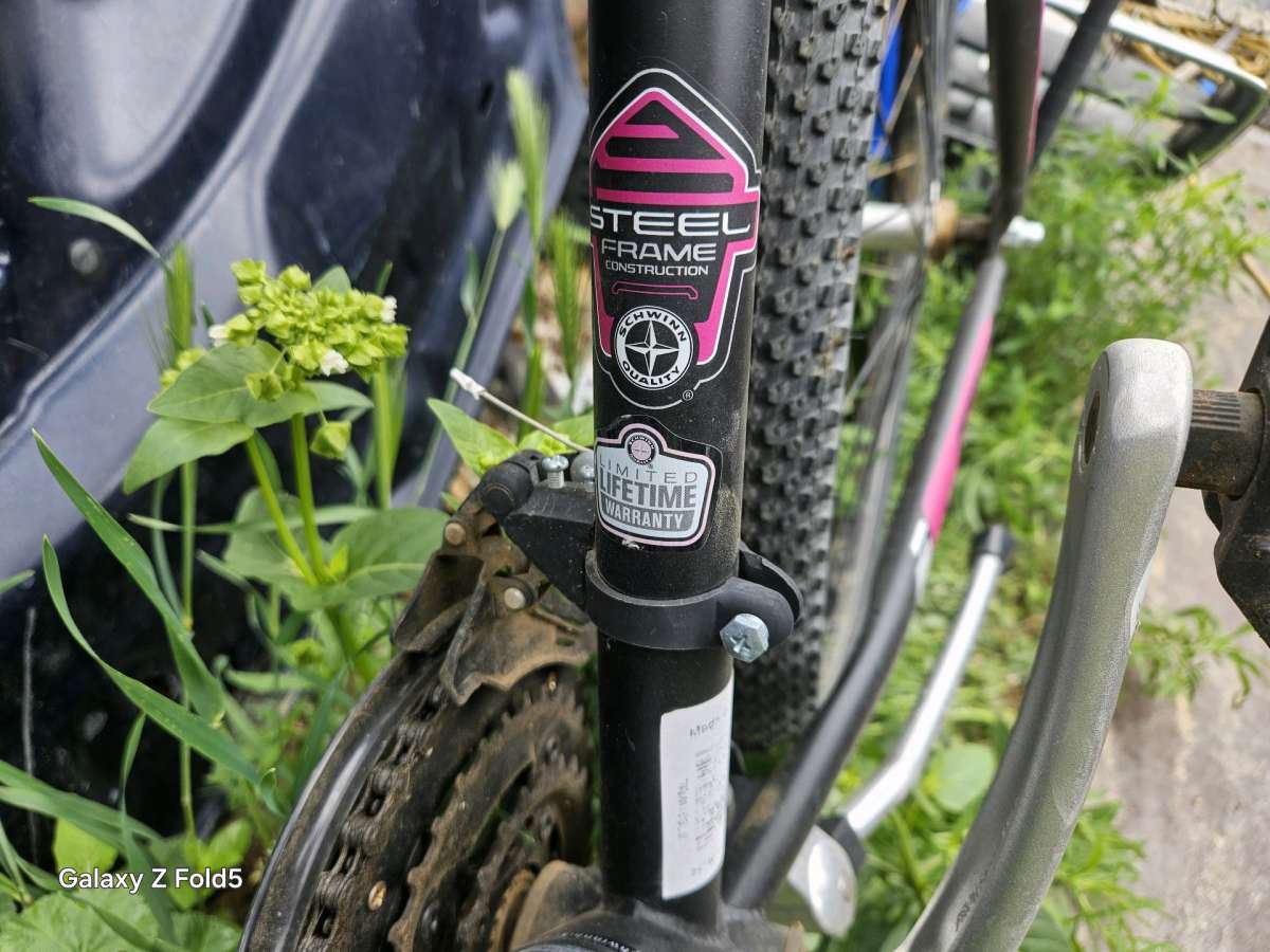 Ladies 26 schwinn bike