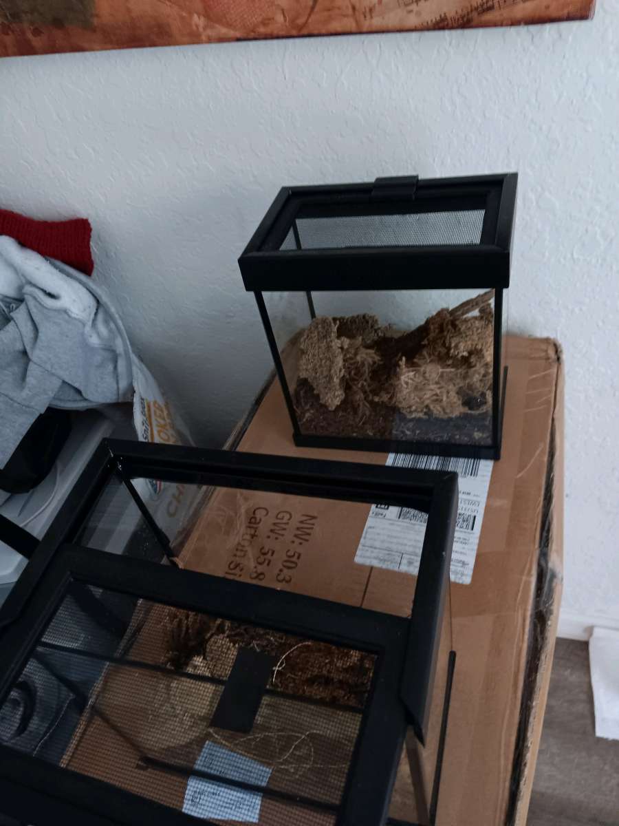 2 small reptile terrarium 1g tank