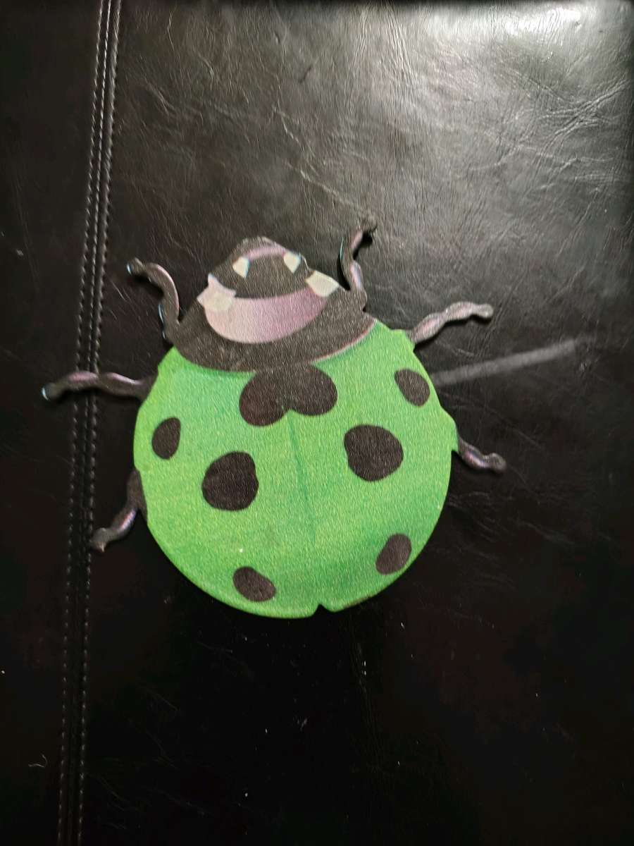 green lady bug