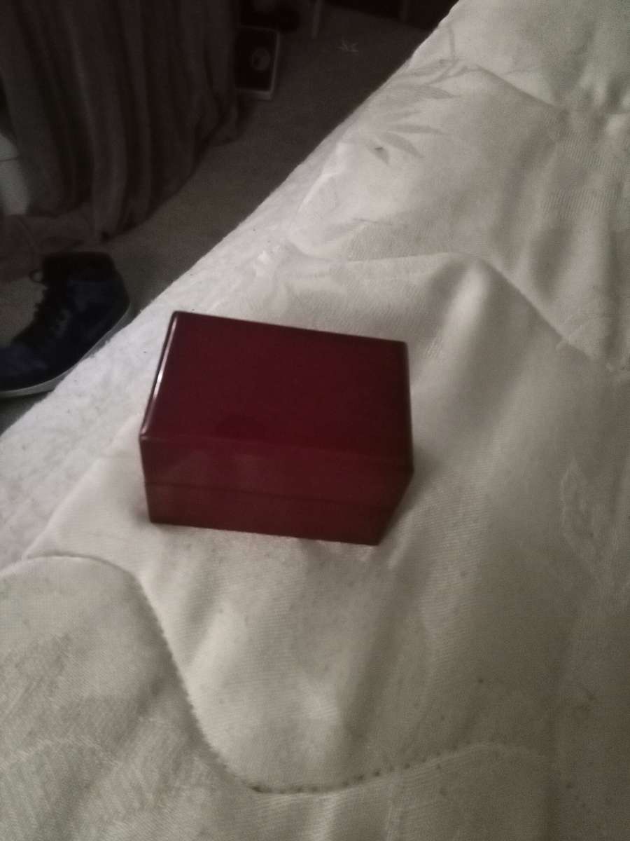 raiders championship ring 1976