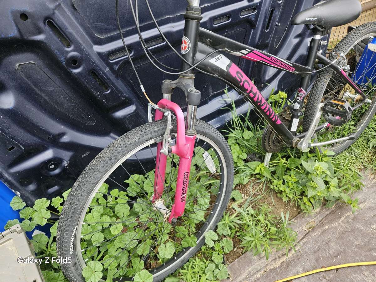 Ladies 26 schwinn bike