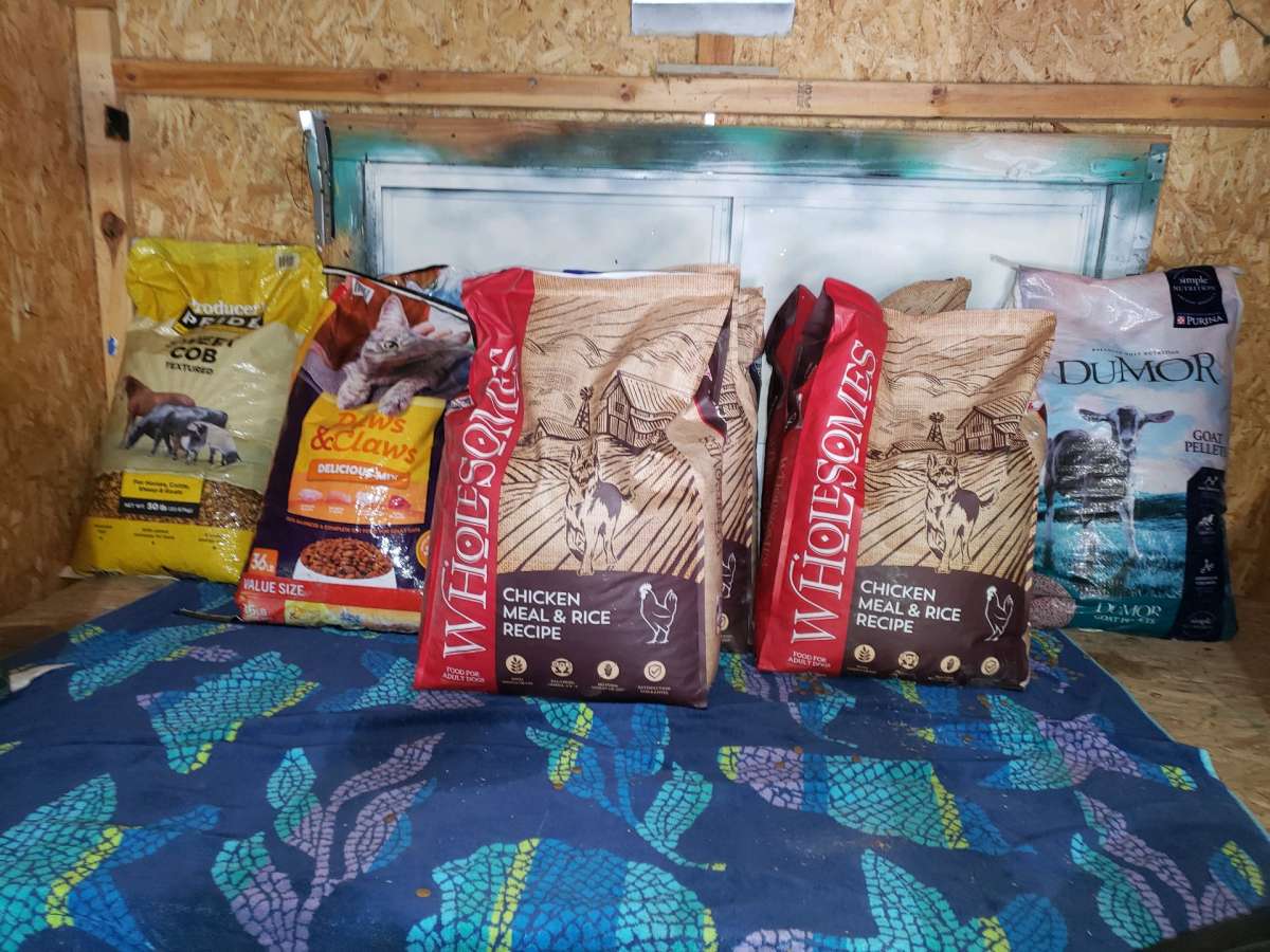 dry cat food dry dog food