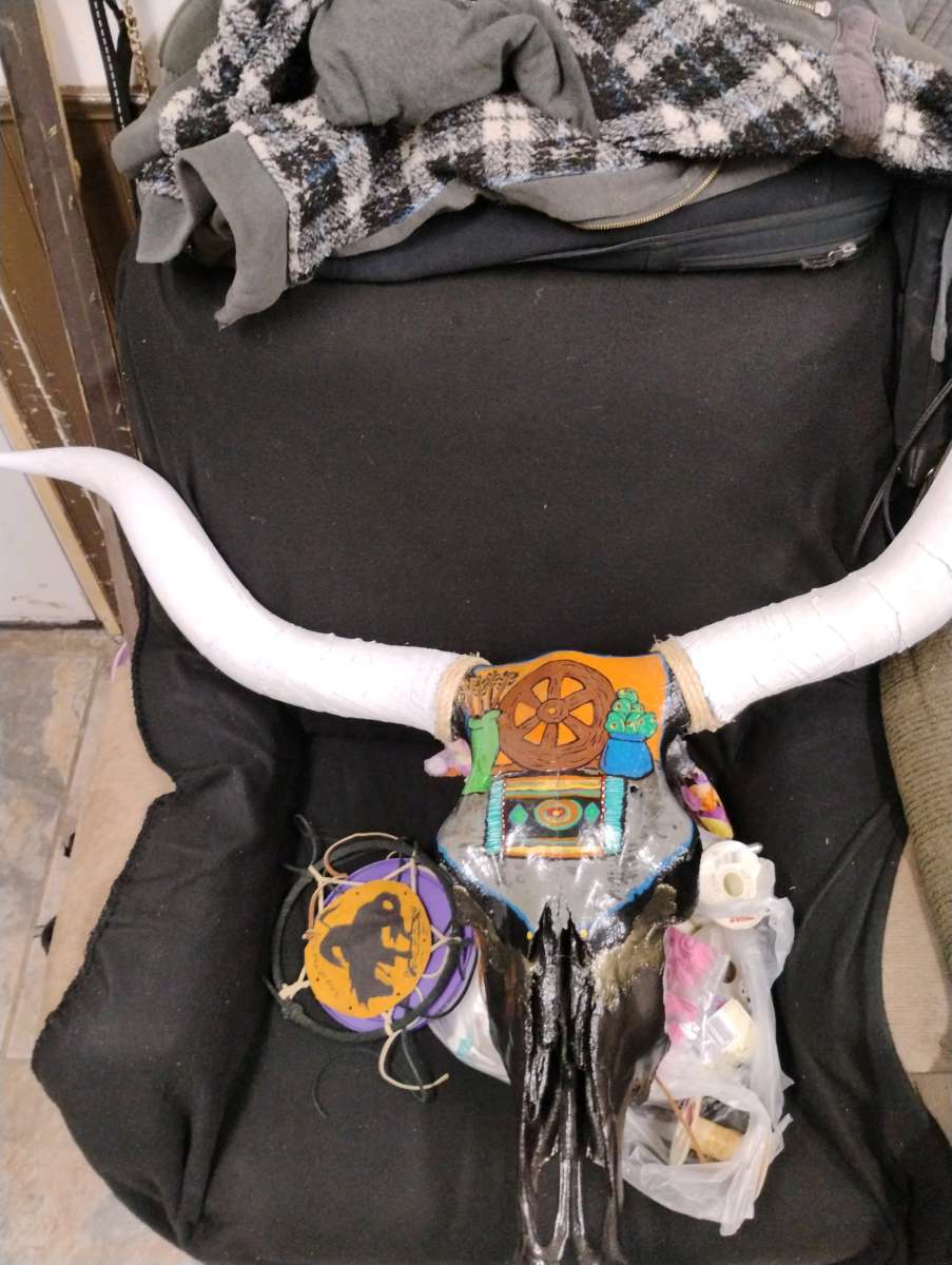 painted long horns skull