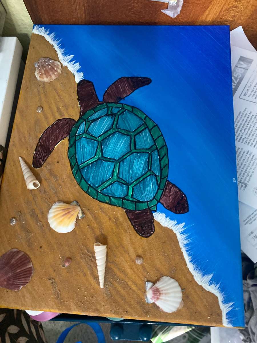 half and half turtle vibe