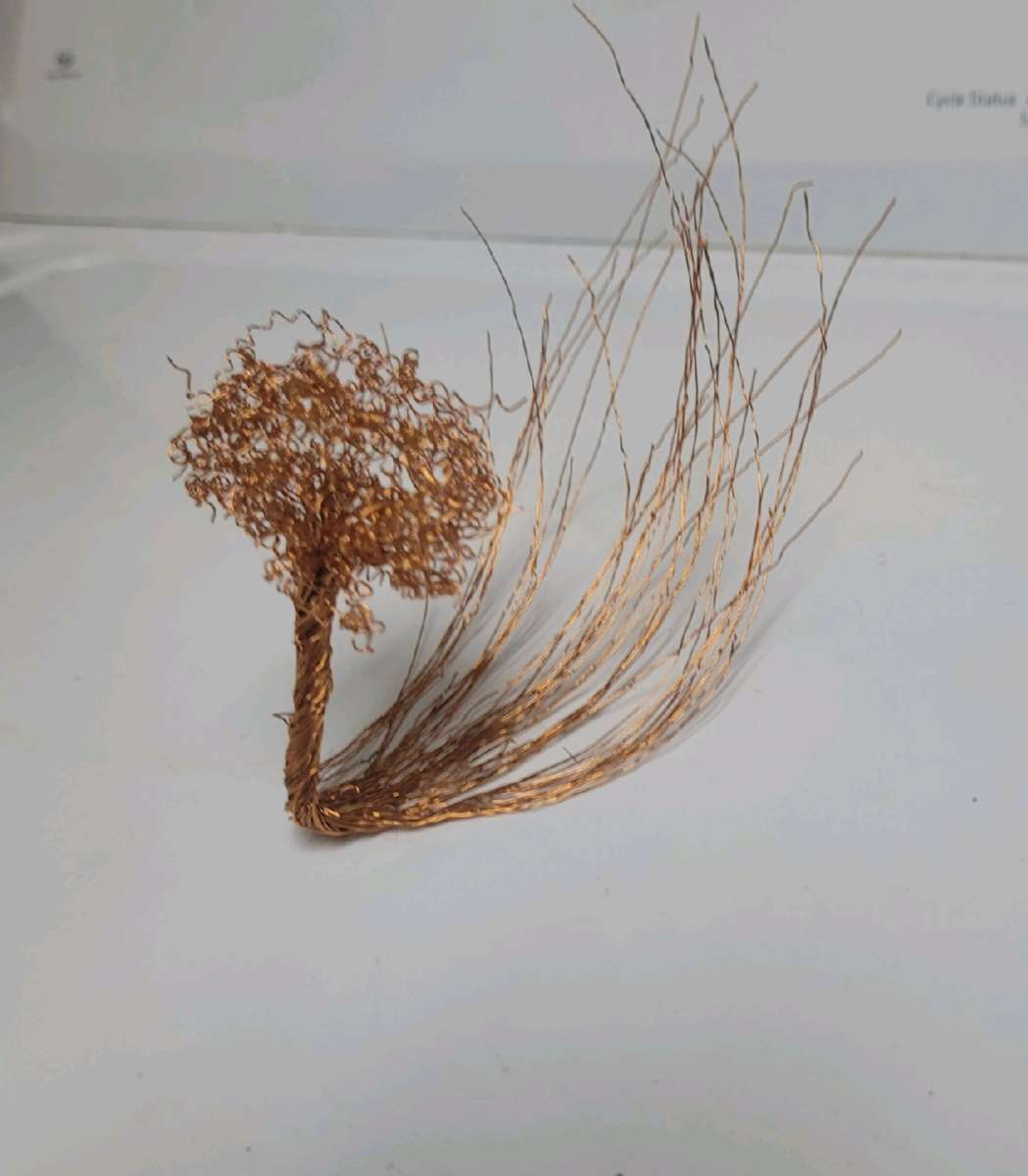 copper tree with wind tail