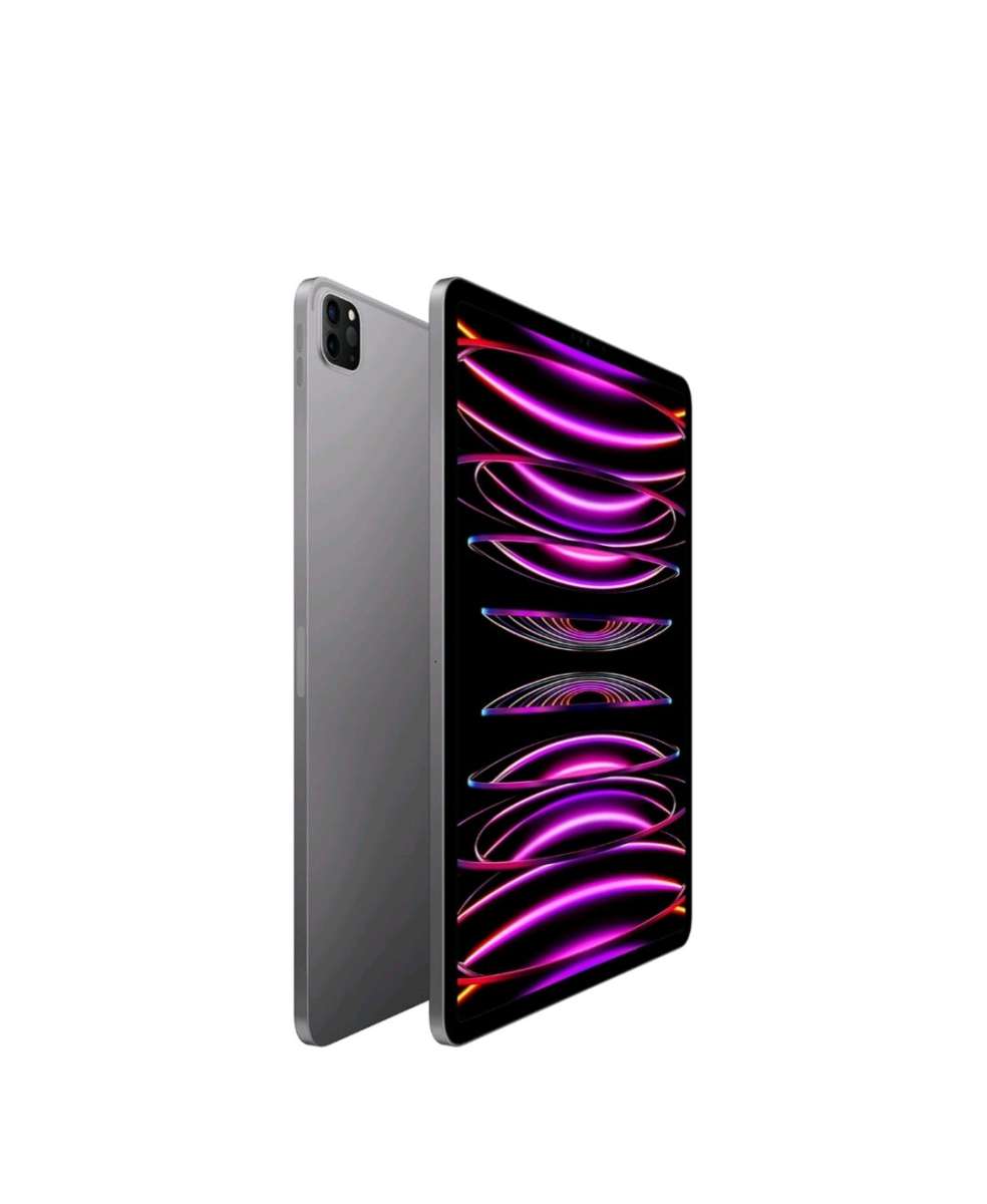 2022 Apple iPad Pro 129inch WiFi 128GB  Space Gray