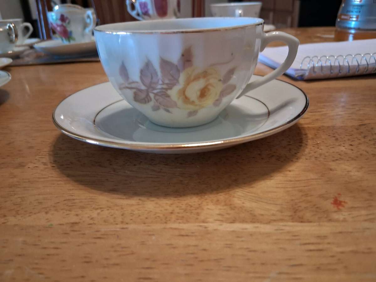 big teacup and saucer set