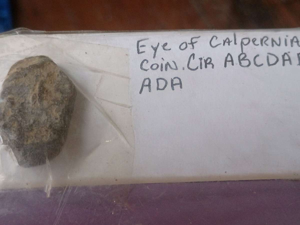 ancient stone type plaginise Coin of calpernia
