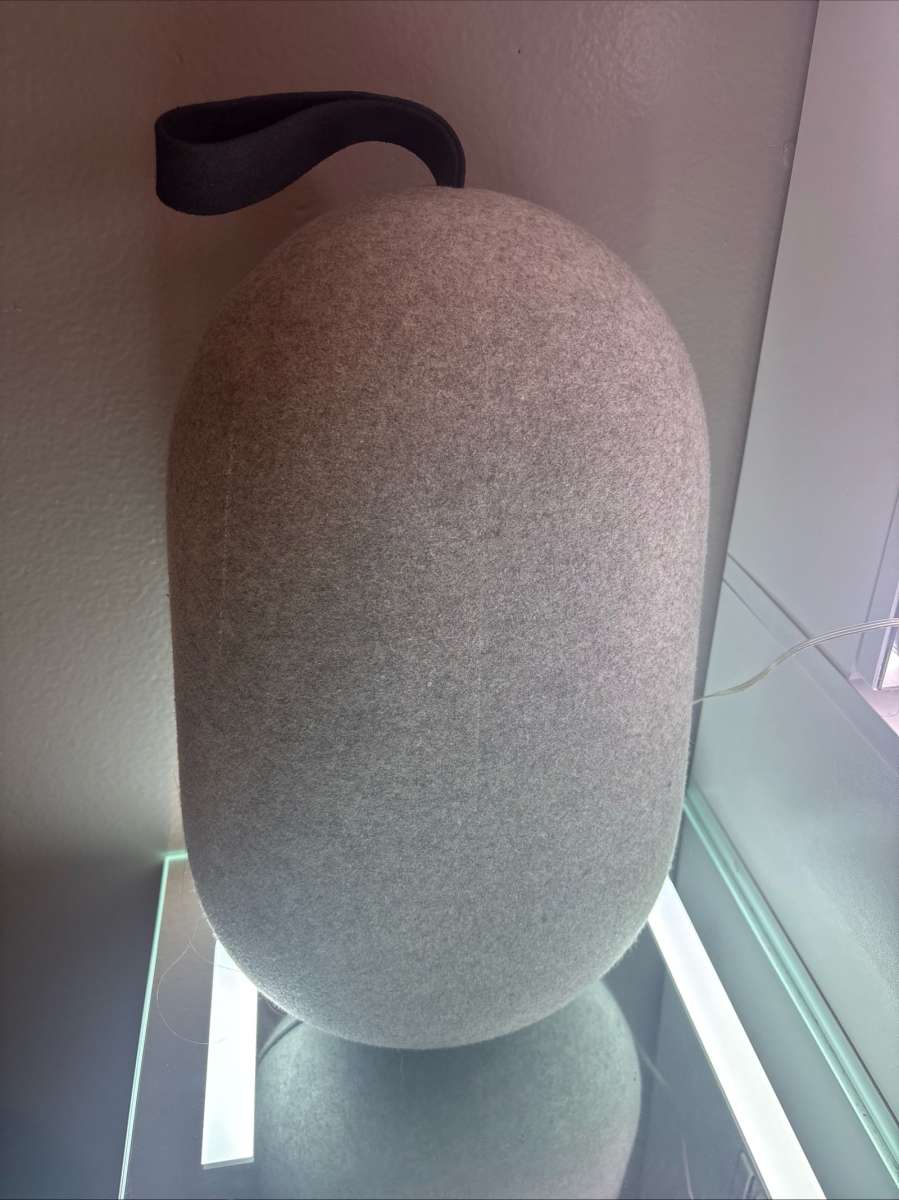 oculus VR headset with case