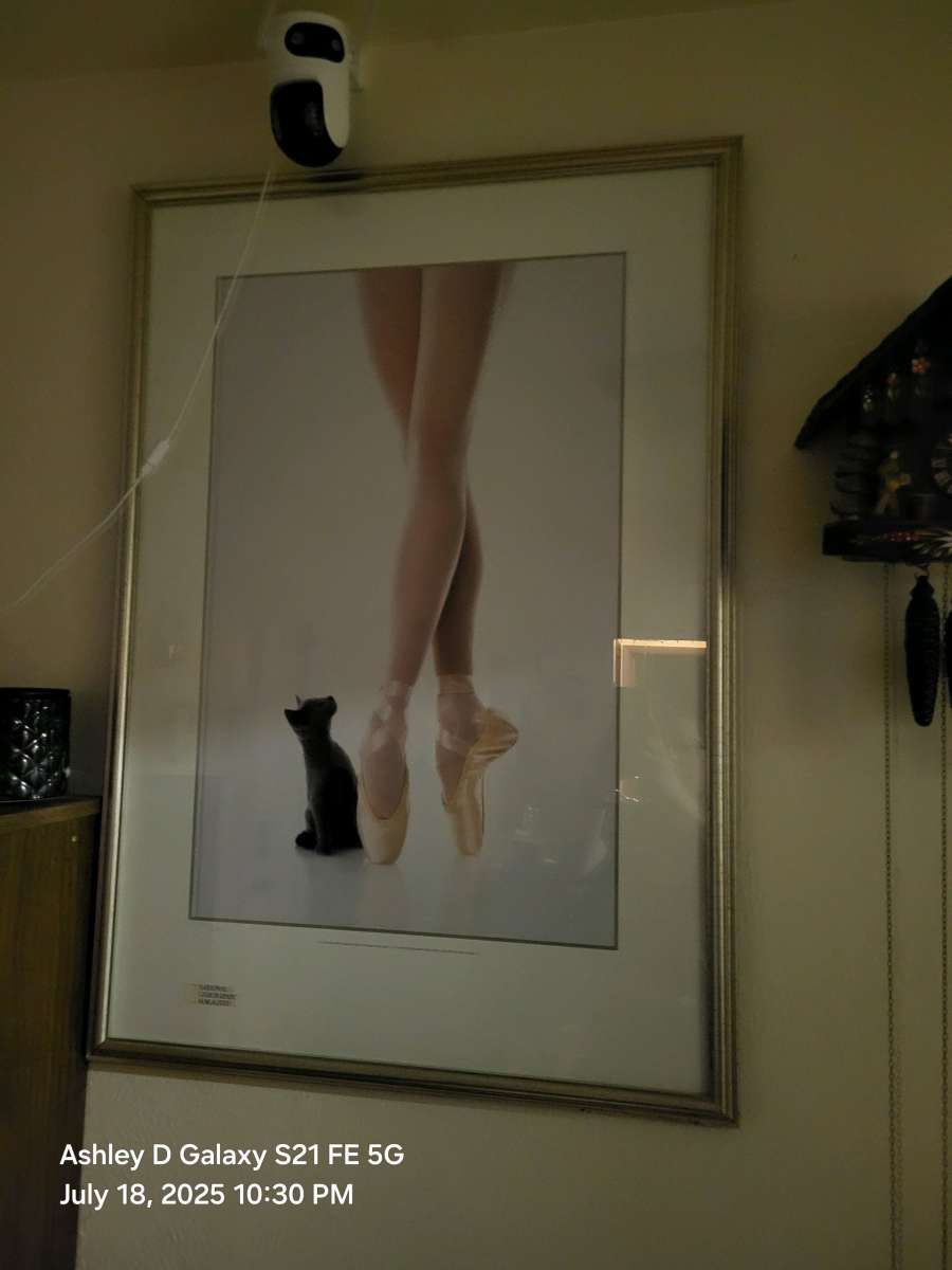 Large framed black and white ballet poster ballet dance