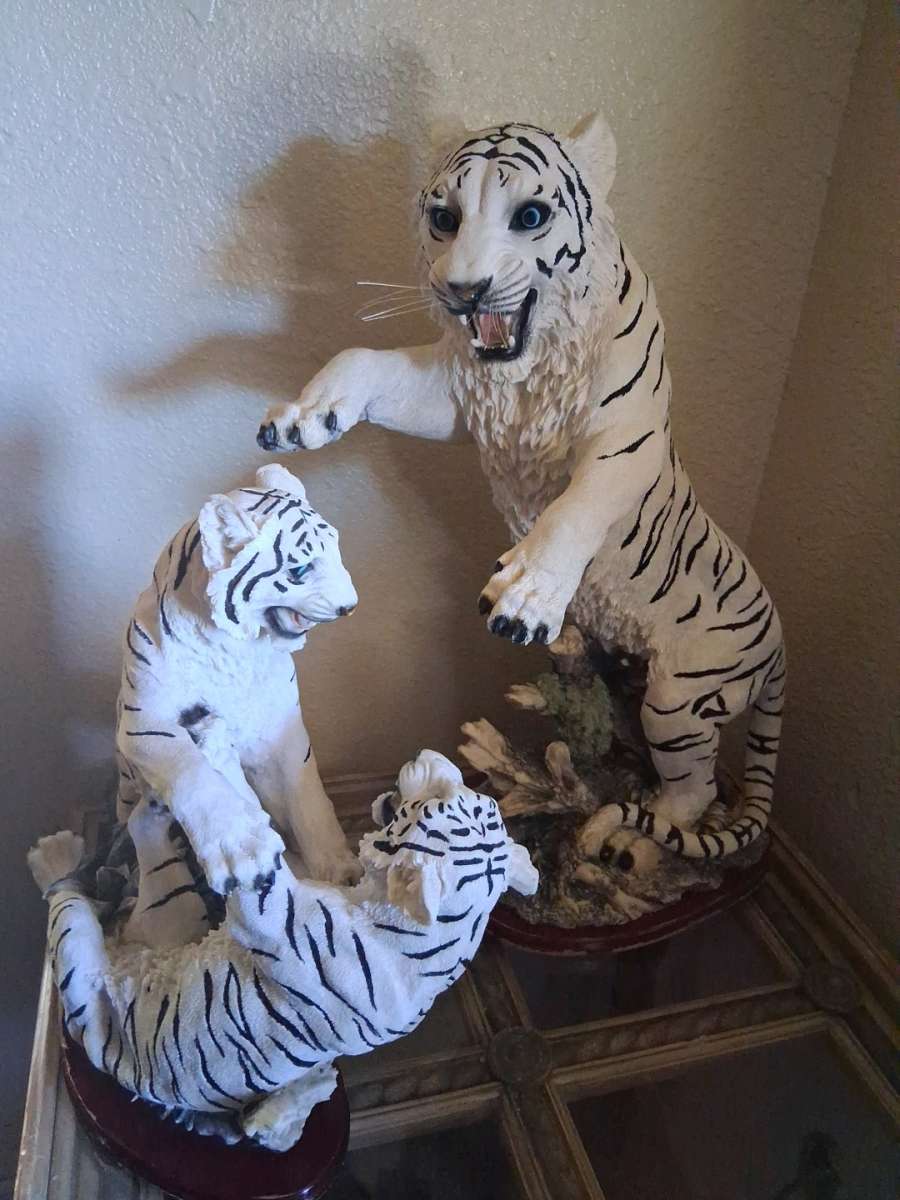 white tigers