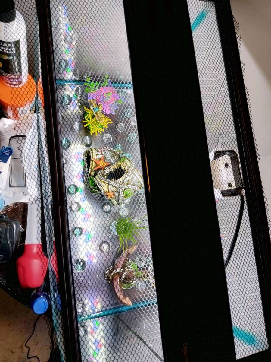 10 gallon fish tank and a goldfish kit with everything