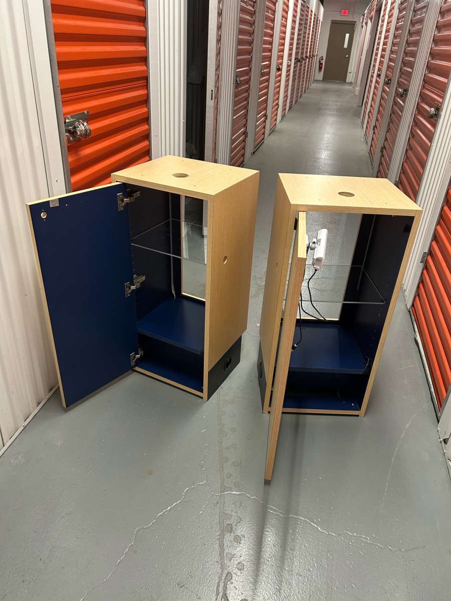 A PAIR OF DISPLAY CASES