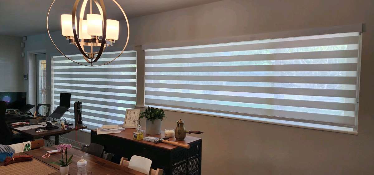 blinds And Shades Cortinas Y Persianas Zebra Shades