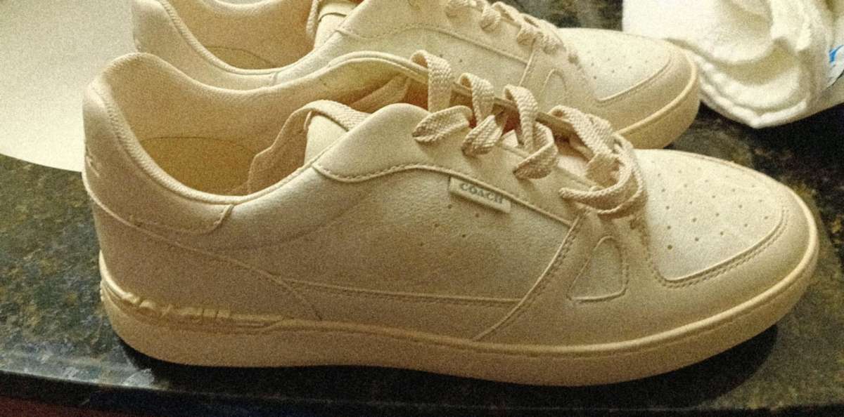 Coach shoes