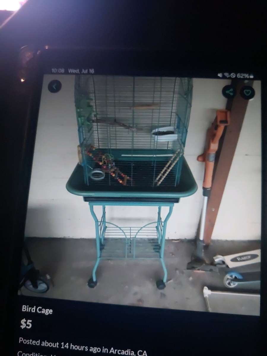 Bird Cage new