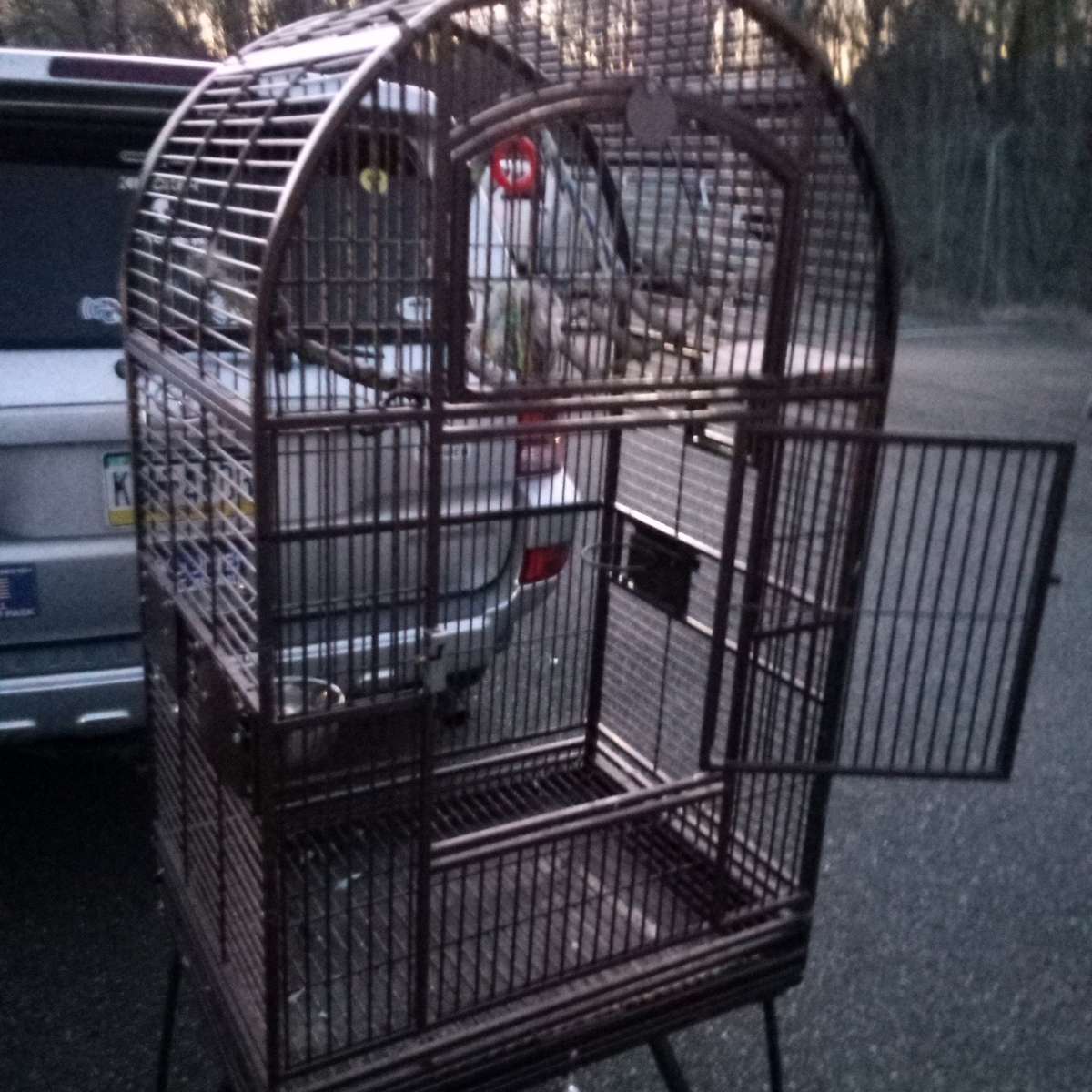 bird cage