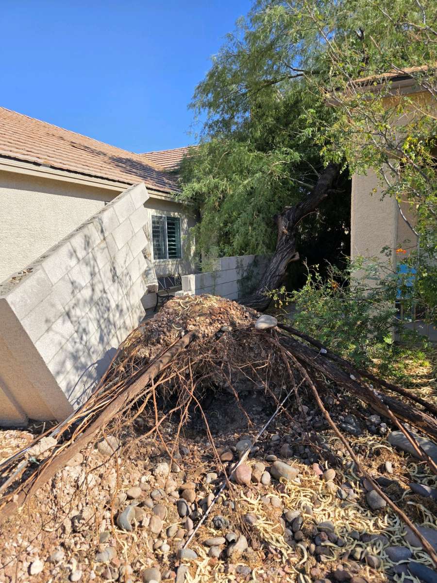 tree Removal
